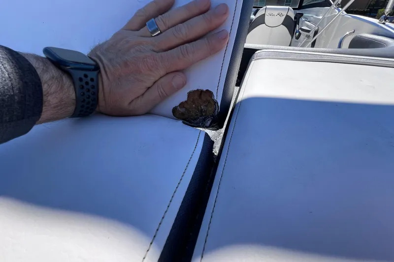 Slide: The Image of Damaged seat on 2015 Sea Ray 21 SPX OB boat, showing tear and wear. - 17