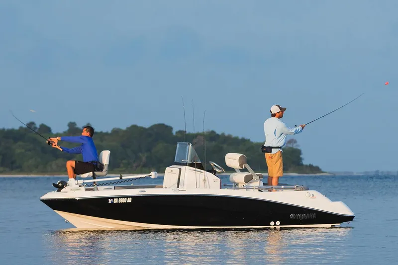 Slide: The Image of Manufacturer Provided Image - 42