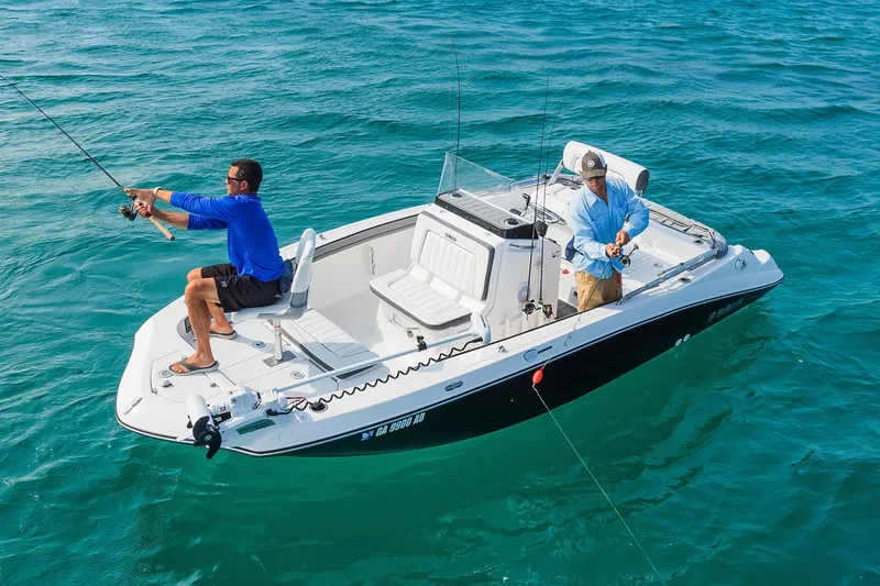 Slide: The Image of Manufacturer Provided Image - 43