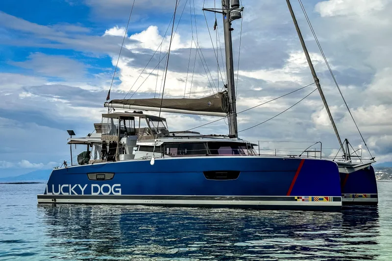 Slide: The Image of Lucky Dog with her previous Hull Wrap - 2