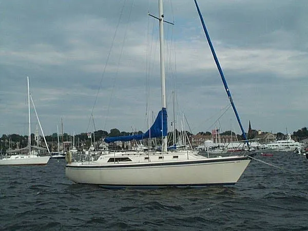 Slide: The Image of O'Day 1984 - 0