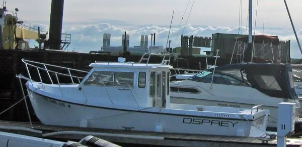 Slide: The Image of Osprey Expedition 2004 - 0