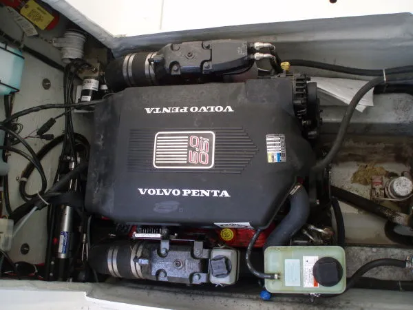 Slide: The Image of Osprey Expedition 2004 - 4