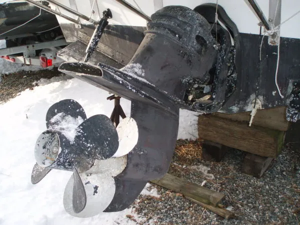 Slide: The Image of Osprey Expedition 2004 - 7