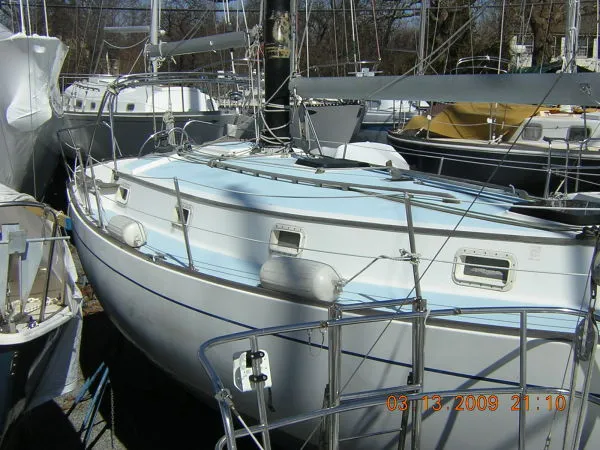 Slide: The Image of Freedom Cat Ketch 1981 - 0