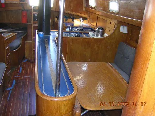 Slide: The Image of Freedom Cat Ketch 1981 - 10