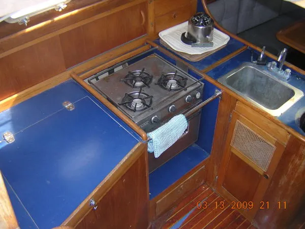 Slide: The Image of Freedom Cat Ketch 1981 - 6