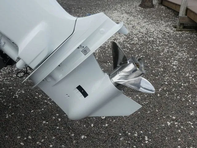 Slide: The Image of Pioneer 202 Islander 2026 - 11