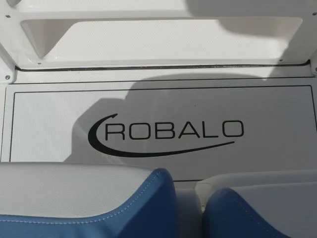 Slide: The Image of Robalo 246 Cayman 2026 - 18