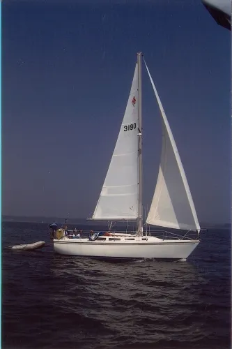 Slide: The Image of Catalina 1983 - 0
