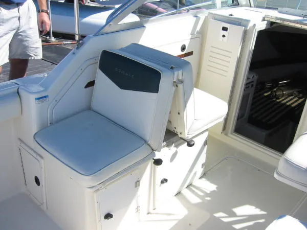 Slide: The Image of Pursuit 2460 Denali 1998 - 5
