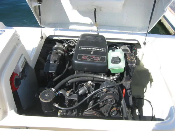 Slide: The Image of Pursuit 2460 Denali 1998 - 9