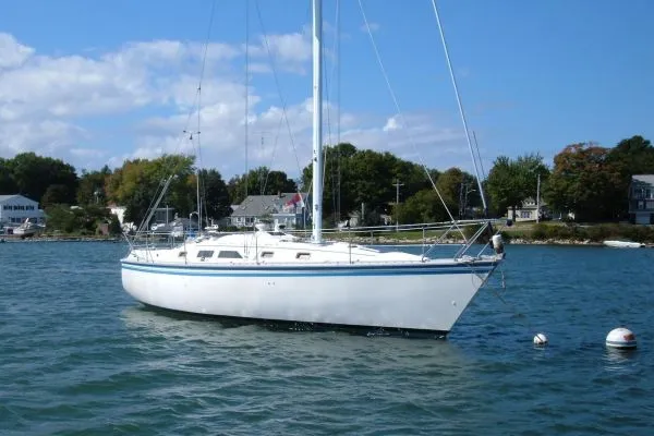 Slide: The Image of Hunter 1986 - 0