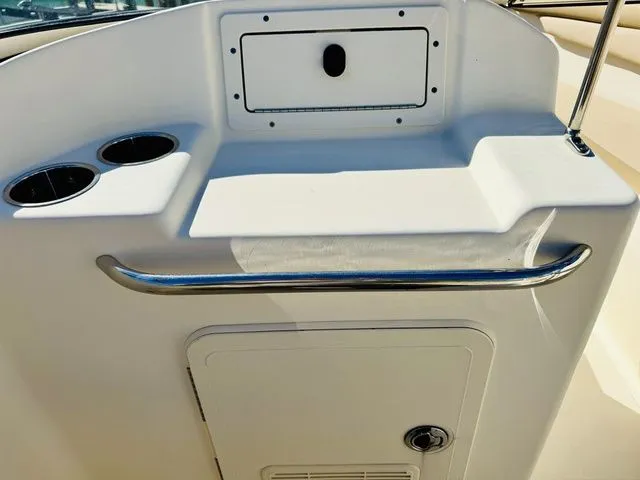 Slide: The Image of Scout 210 Dorado 2021 - 12