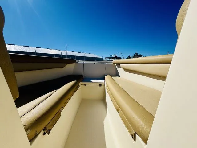 Slide: The Image of Scout 210 Dorado 2021 - 14