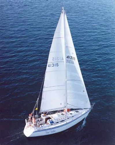 Slide: The Image of Hunter 1986 - 0