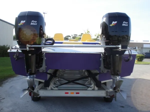 Slide: The Image of Motion Cat 2001 - 4