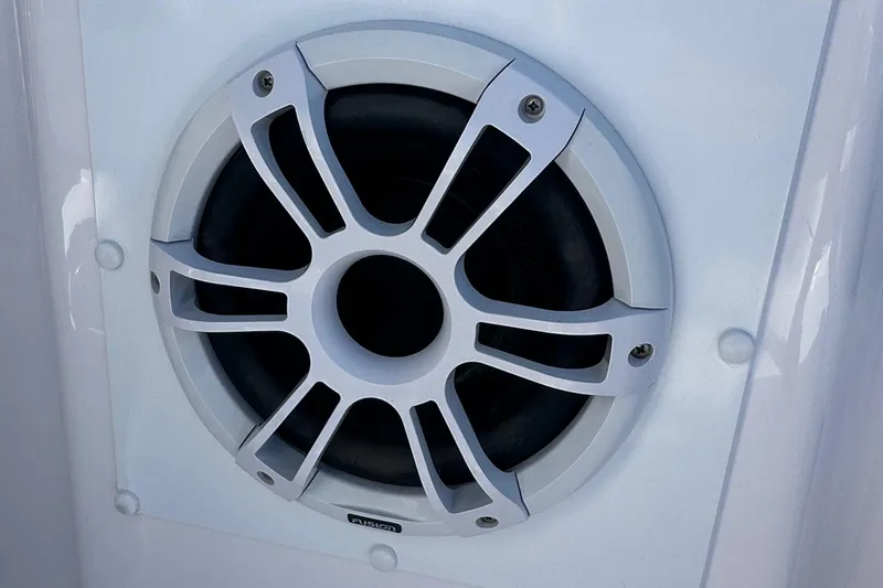 Slide: The Image of Fusion 10" Subwoofer - 32