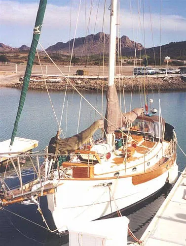 Slide: The Image of Hans Christian Mark II Cutter 1980 - 1
