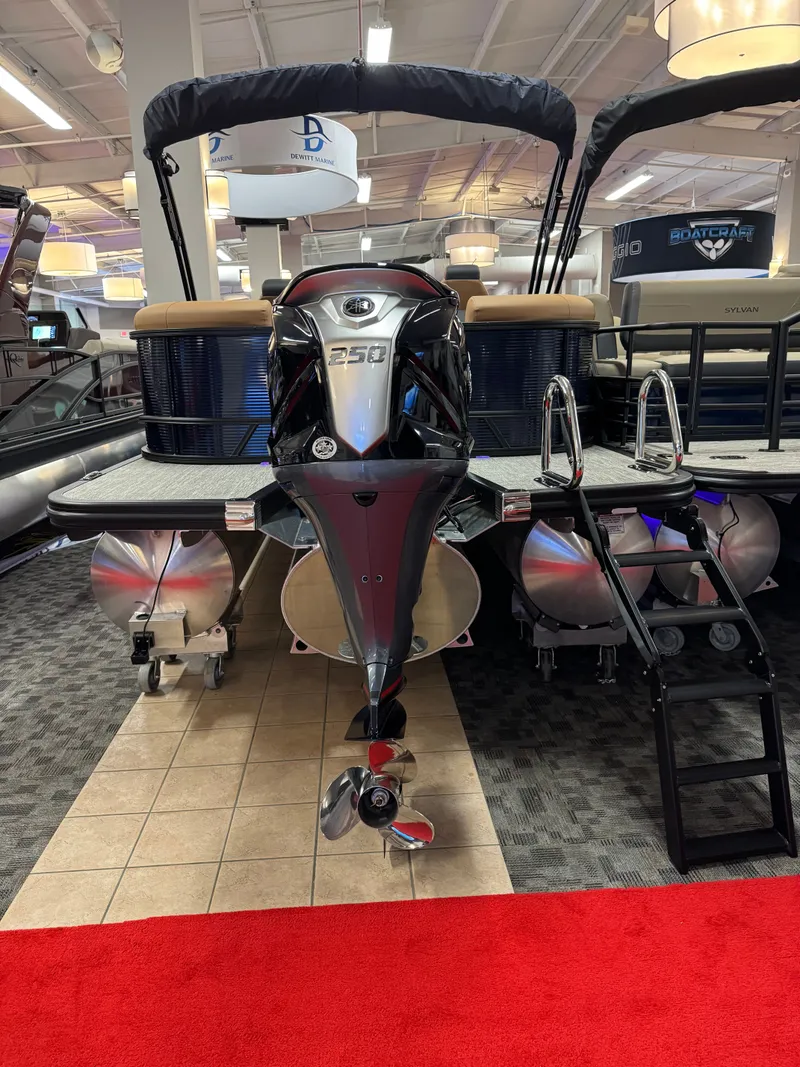 Slide: The Image of Bennington 23SSRSF 2026 - 8