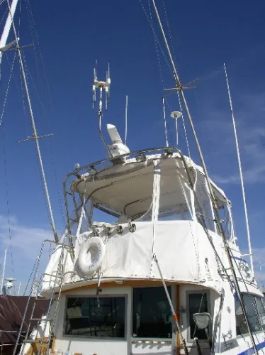 Slide: The Image of Bertram III Sportfish 1979 - 2