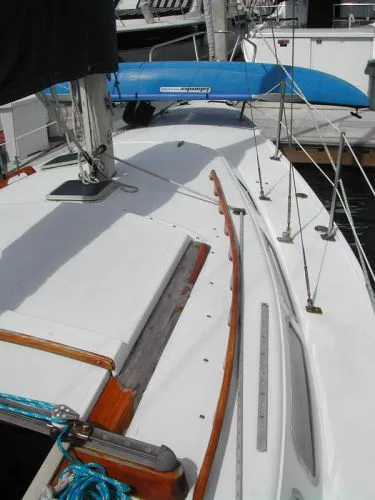 Slide: The Image of Catalina 1981 - 2