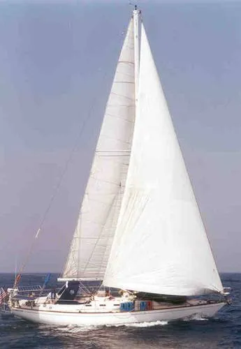 Slide: The Image of Tartan Cutter 1982 - 0