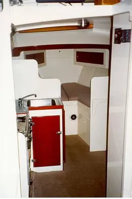 Slide: The Image of Jarvis Newman 1976 - 3
