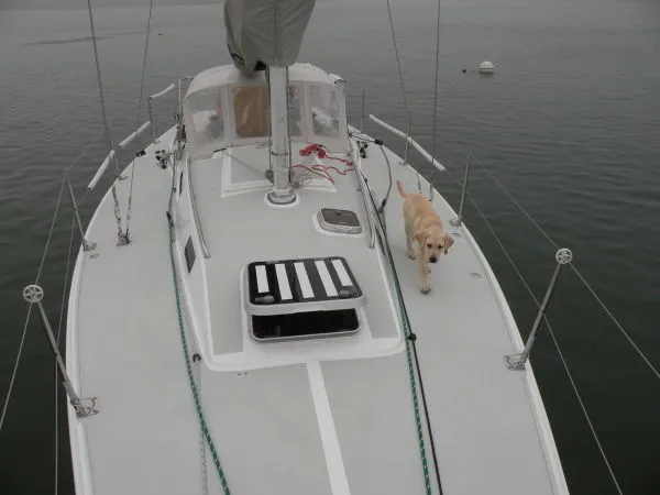 Slide: The Image of J Boats J/105 1998 - 5