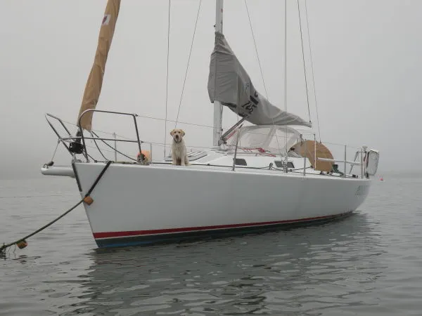 Slide: The Image of J Boats J/105 1998 - 6