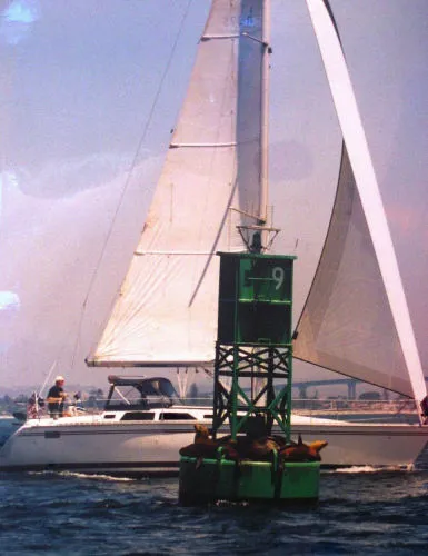 Slide: The Image of Hunter 37.5 1996 - 2