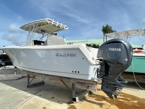 Slide: The Image of Sailfish 290 CC 2023 - 1