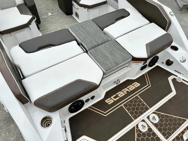 Slide: The Image of Scarab 255 2019 - 5