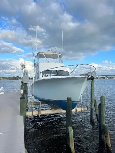 Slide: The Image of Ocean 37 Billfish 2008 - 0