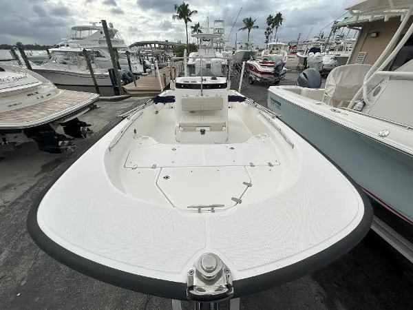 Slide: The Image of Boston Whaler 19 Montauk 2020 - 6