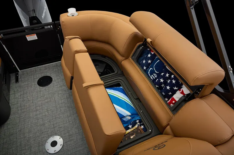 Slide: The Image of Regency 250 DL 2026 - 108