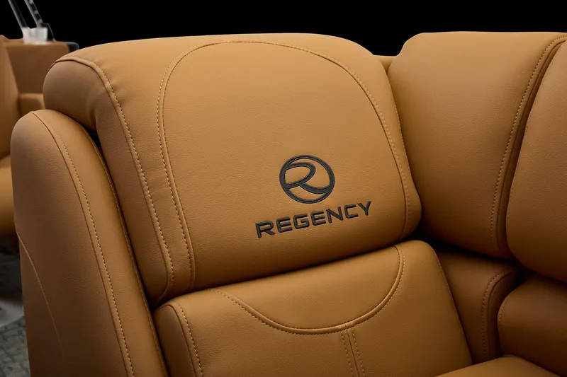 Slide: The Image of Regency 250 DL 2026 - 110