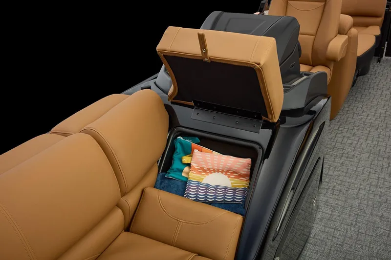 Slide: The Image of Regency 250 DL 2026 - 28