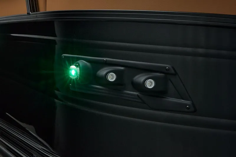 Slide: The Image of Regency 250 DL 2026 - 74