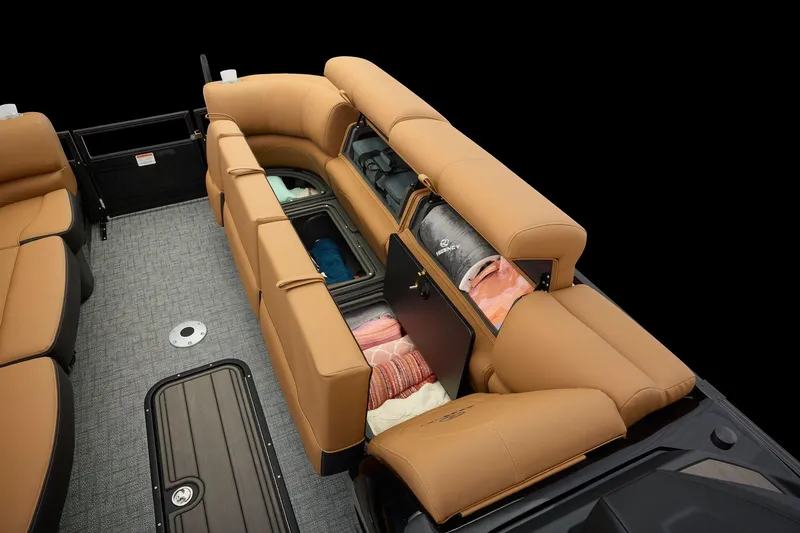 Slide: The Image of Regency 250 DL 2026 - 80