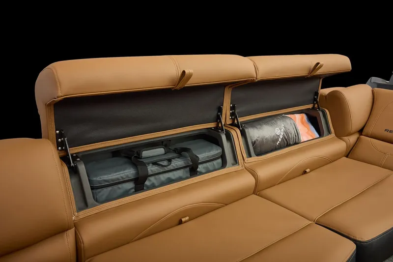 Slide: The Image of Regency 250 DL 2026 - 81