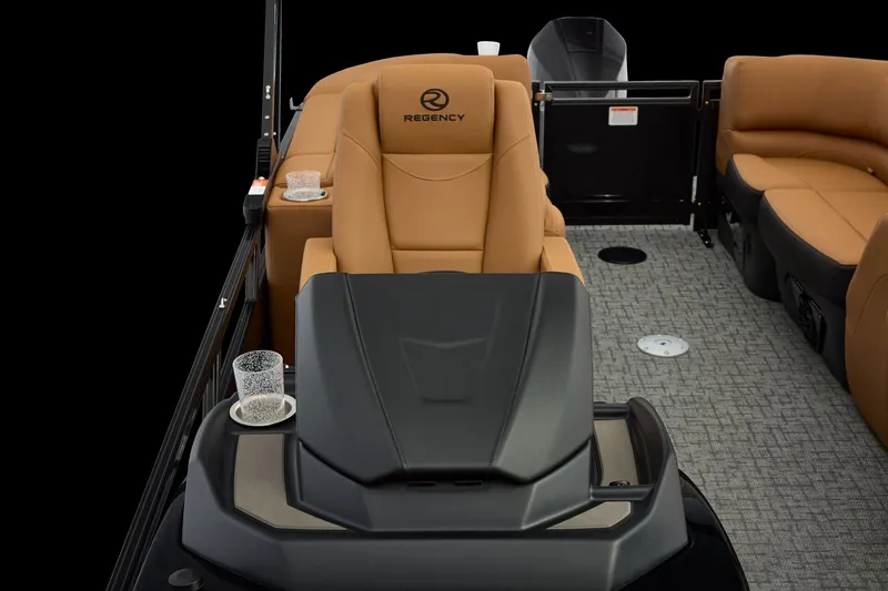 Slide: The Image of Regency 250 DL 2026 - 87