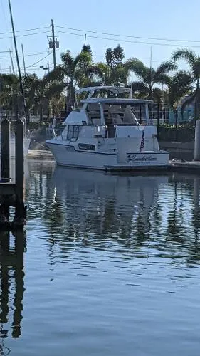 Slide: The Image of Carver Yachts 390 1994 - 11