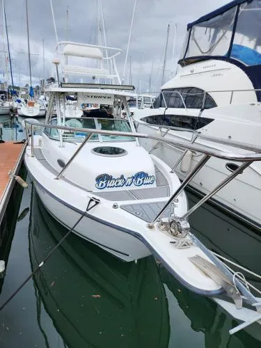Slide: The Image of Seaswirl 2600 2001 - 7