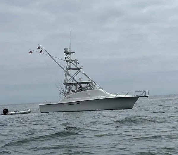 Slide: The Image of Ocean Sport Fish 1999 - 1