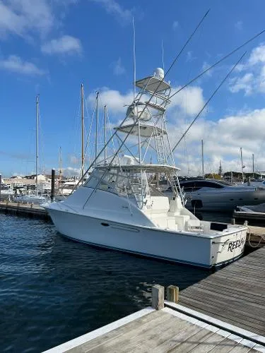 Slide: The Image of Ocean Sport Fish 1999 - 3