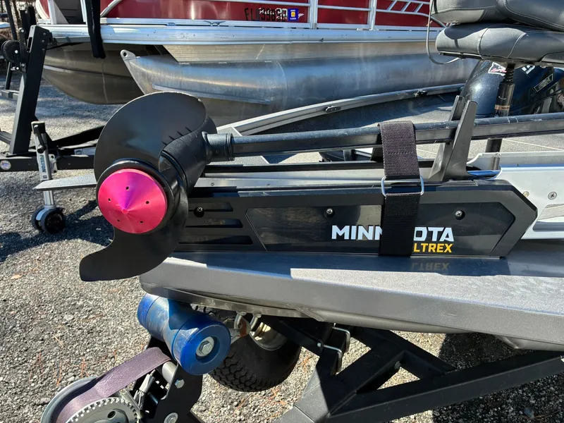 Slide: The Image of Lowe Stinger 2020 - 2