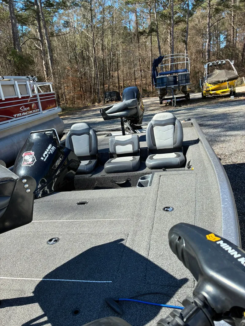 Slide: The Image of Lowe Stinger 2020 - 3