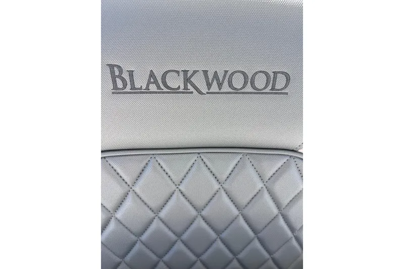 Slide: The Image of Quilted leather seat with "Blackwood" branding, model 270, year 2026. - 12