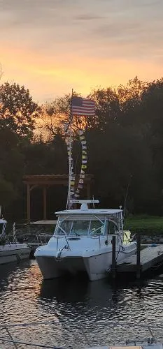 Slide: The Image of World Cat 320 EC 2008 - 2